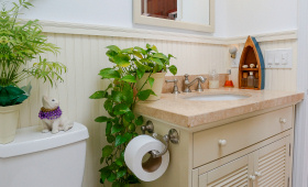 Bathroom Remodeling